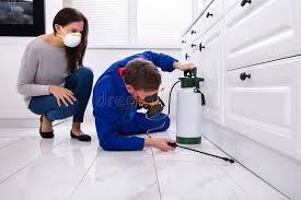 Emergency Pest Control in Eastvale, CA